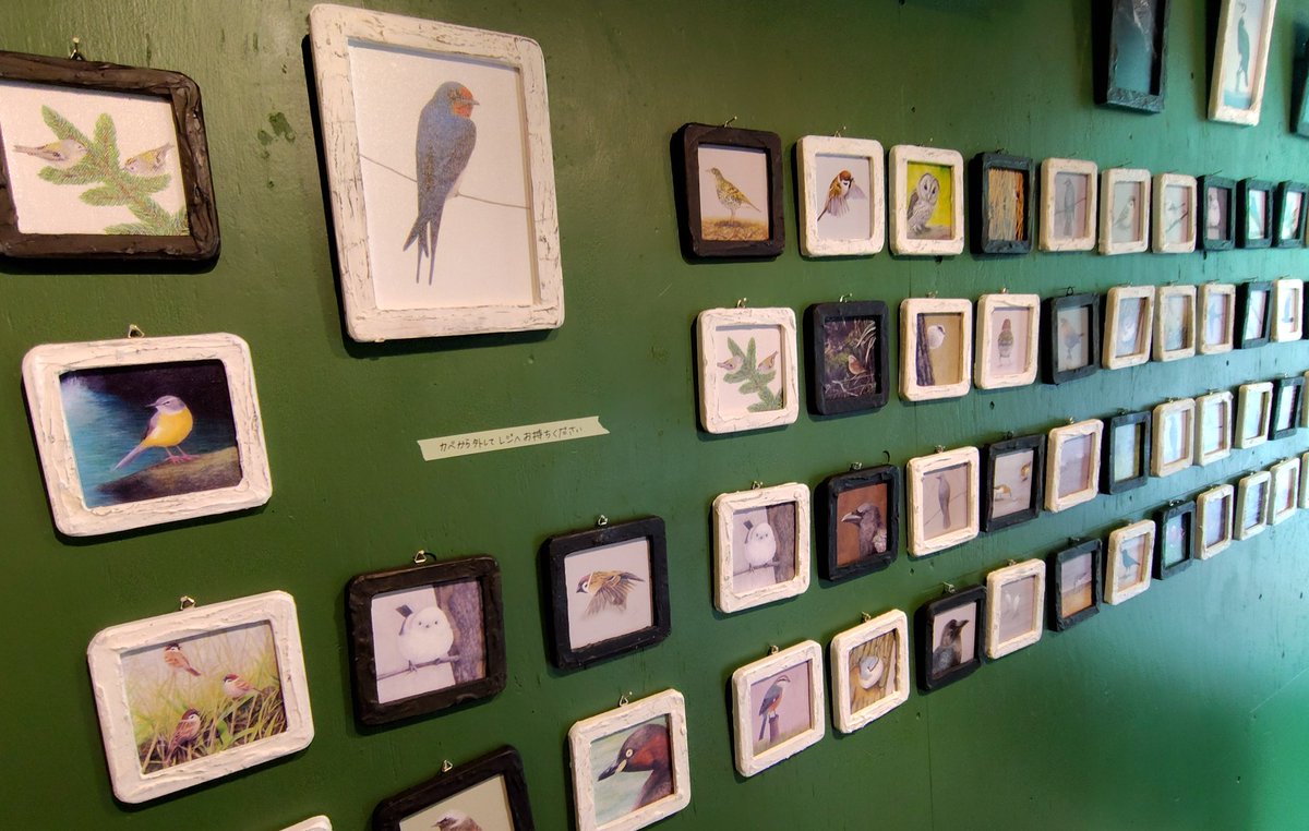 info_how's tweet photo. 【EAST】 gallery-Green
野鳥生活・１０周年記念個展
「野鳥生活十年一昔」

森のような一面緑の壁に佇む鳥たち
額までこだわった原画は、描かれた鳥のいる世界に引き込まれるような魅力があります✨️

staff n

■2026/5/28(木)〜6/21(日)
🈺17:00まで
休廊 15.16.17(月火水 定休) https://t.co/ndEdYVcrpG