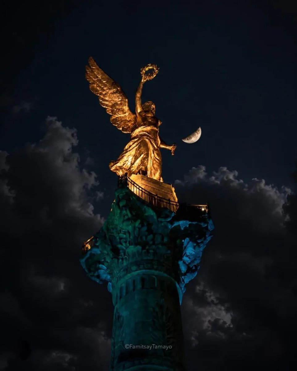 Meminehappy's tweet photo. ¡EL FASCINANTE VIGILANTE NOCTURNO . . . ! 😃

 " EL ÁNGEL DE LA INDEPENDENCIA " 

CDMX 👍 🇲🇽 https://t.co/jlWghLTTOi