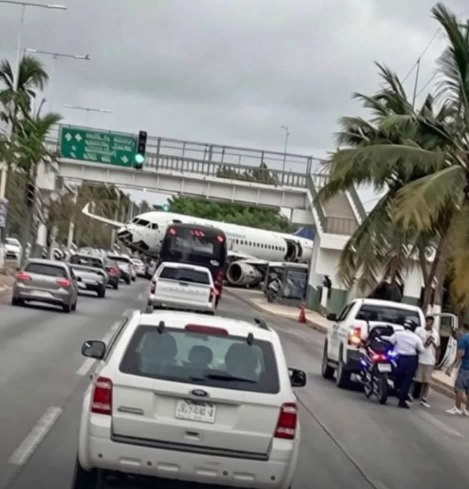 PVROutOfContext's tweet photo. por eso lo llaman el Puente de Los Milagros

#PuertoVallarta https://t.co/cTCkcSDjHD