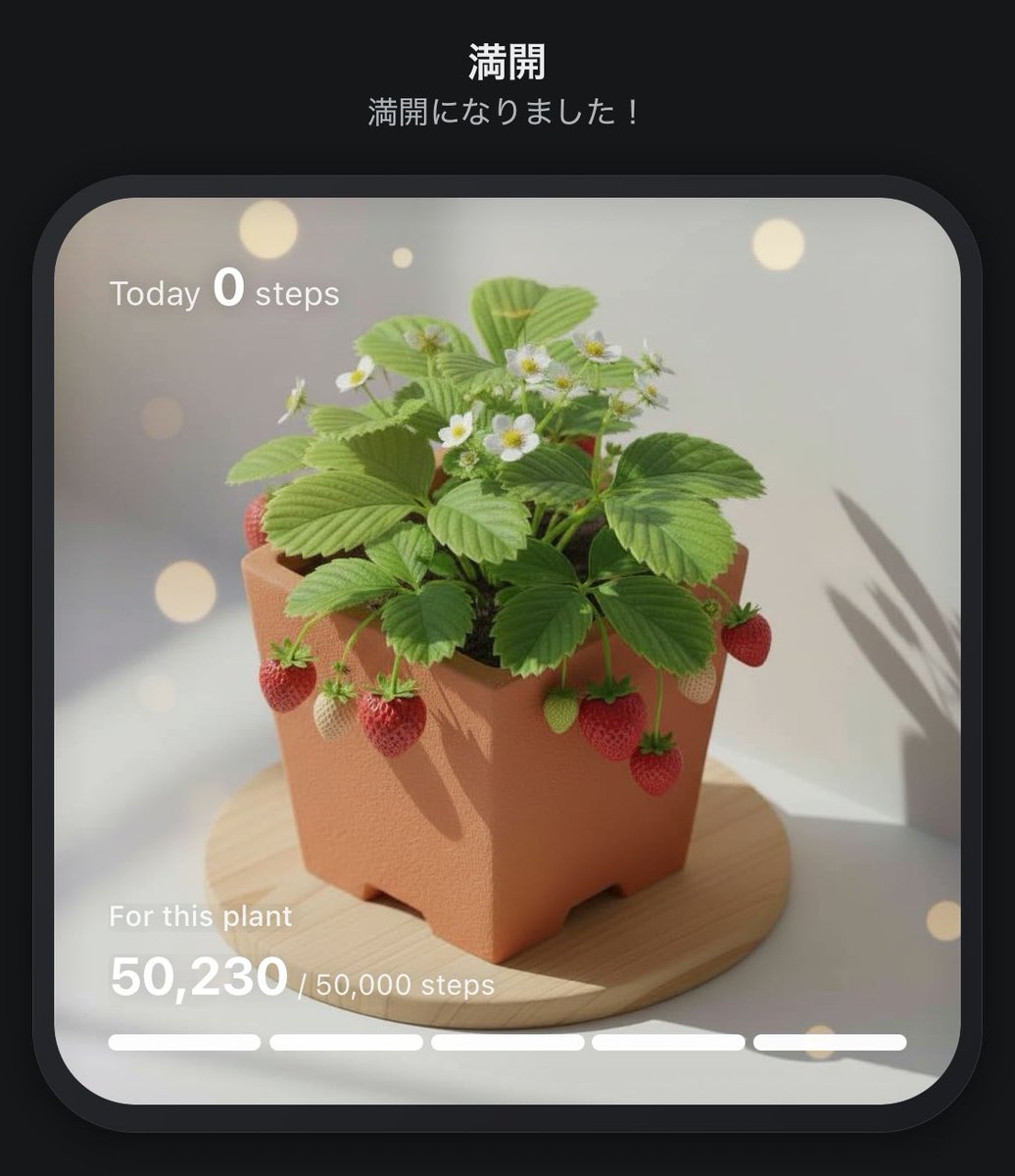 luce_soldato's tweet photo. #PixelPot
歩いて植物育成中🌱

🍓 https://t.co/A6xzYHJrN7