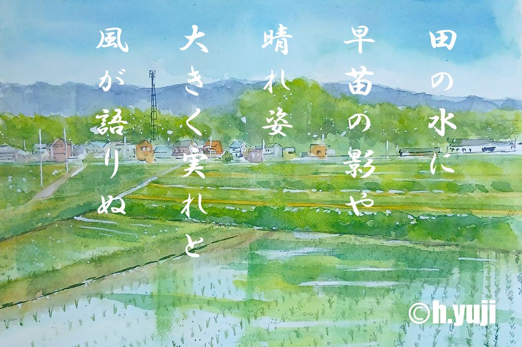 YujiColor's tweet photo. 田の水に　早苗の影や　晴れ姿
大きく実れと　風が語りぬ
#水彩画　＃watercolor https://t.co/5F1RA0kitU