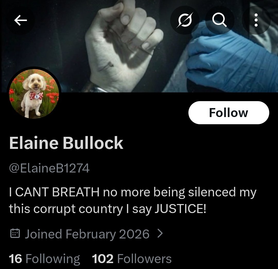 MegaStringbean's tweet photo. OMG Elaine is back with a new account! 😆
For newer ARMY: Elaine is a crazy conspiracy theory woman who for some reason is obsessed with BTS alongside many other people. Just report, don't engage.
But reading her BTS theories is funny 😁 https://t.co/VBQKRnvC1y