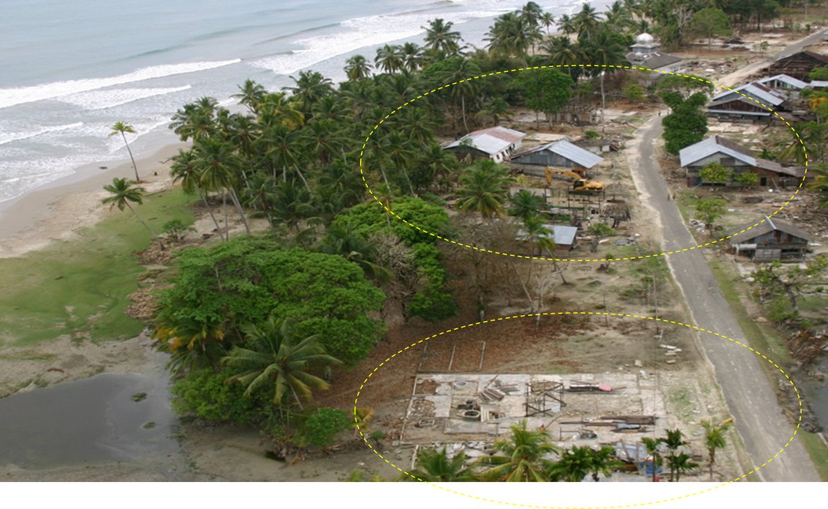 daryono_eq_talk's tweet photo. Dampak tsunami Aceh 2004: perhatikan bangunan yang terlindungi vegetasi dan yang tidak. Apa kesimpulannya? (Sumber Foto: Widjokongko, 2005). https://t.co/AwDC3YPcbB