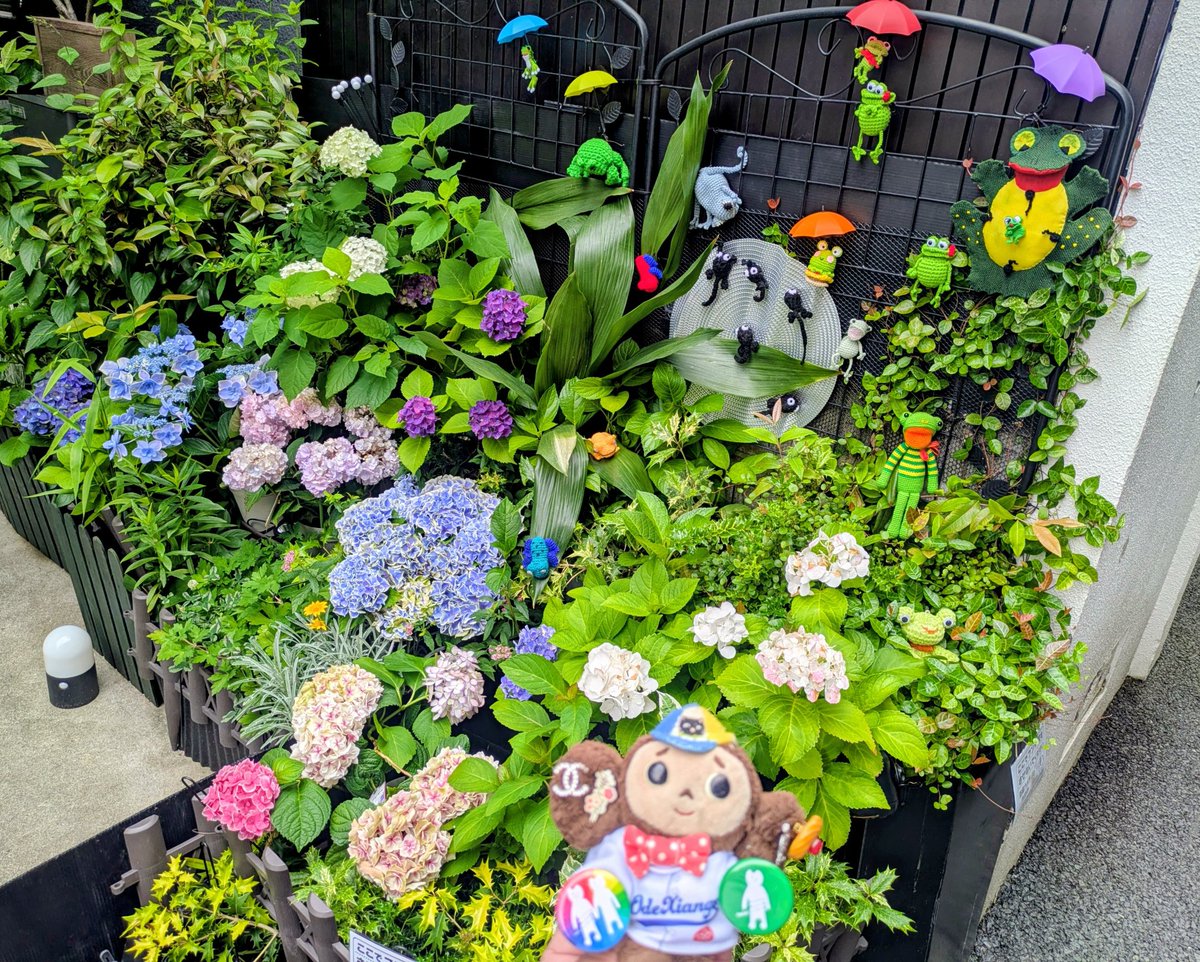 BradKicchi's tweet photo. この子たちみんなカエルだね🐸🎶

#このこカエルだね https://t.co/IoKlNfiEqQ