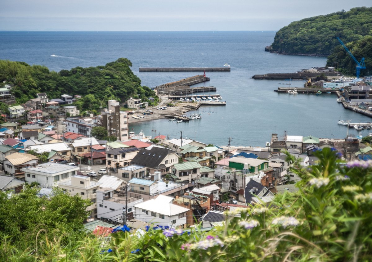 oldlens's tweet photo. レンズは120年以上前に作られたオリジナルのプラナーです。しかも英国ROSS社で製造
Planarはf3.6やf3.8が一般撮影用、f4.5が複写などの特殊目的用とされ、ノンコートでフレアの多かったf3.6は販売不振でした。さらに当時は中判・大判カメラの時代。この60mm f3.6は極めてレアな個体となりました(続く) https://t.co/jz8xvKNpq5