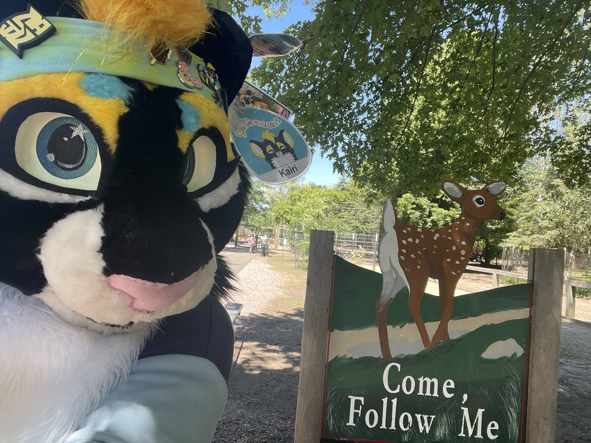 SunlitLioness's tweet photo. Two years ago I had the chance to meet these cuties! 🥰 

Really sucks stuff like this doesn’t happen anymore 🥺 https://t.co/pL1Sc7wsxN