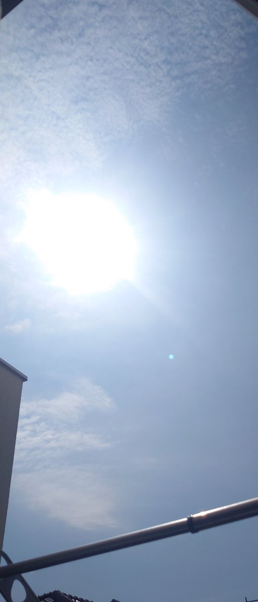 gen0310's tweet photo. おはようさんです☀
晴れた！、！
くしゃみが止まらん謎の症状w
暑くてサイコー🤙
今日もしっかりやりましょ🤙 https://t.co/y9QxaxpwaM