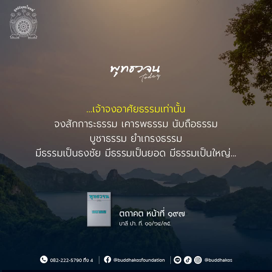 akemakety's tweet photo. ตถาคต https://t.co/Gjmnmk9Yyp
