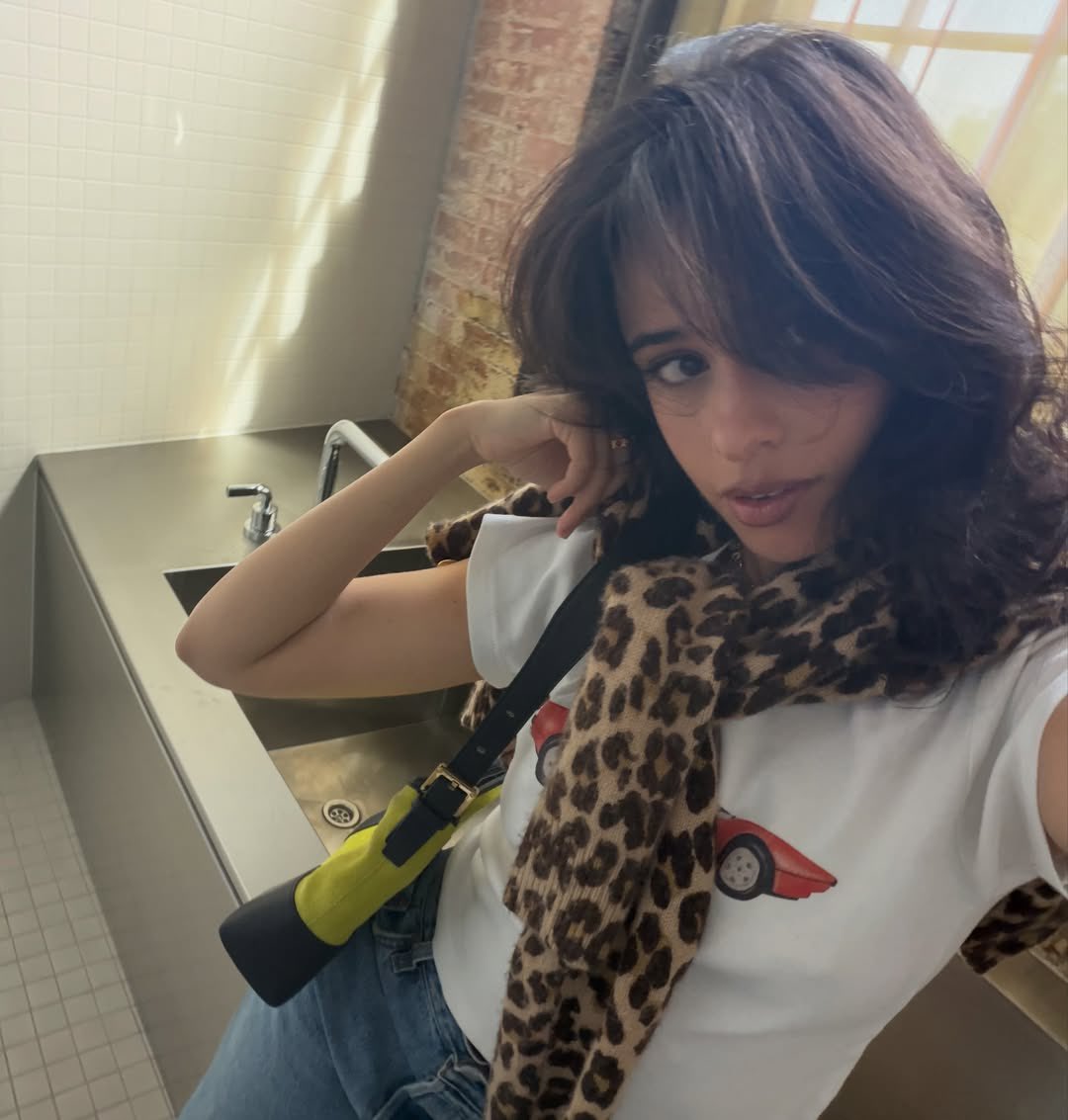portalcamilabr's tweet photo. 4 moods de uma garota! Camila Cabello via Instagram. https://t.co/symXmWOkwA