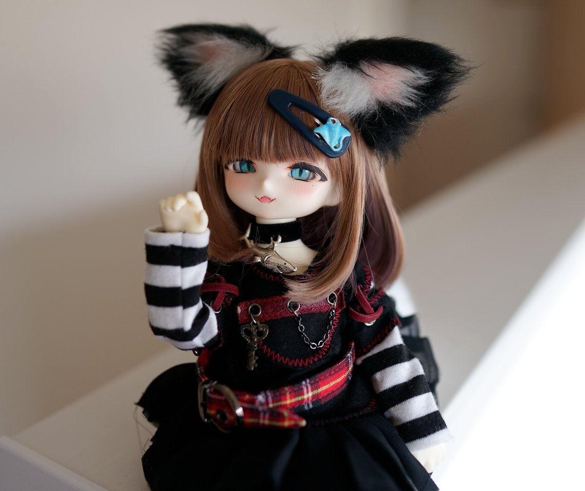hiromon963's tweet photo. 毒香ﾁｬﾝ
ほんと可愛い
 #Tinyfox https://t.co/1r3GS8BfZD