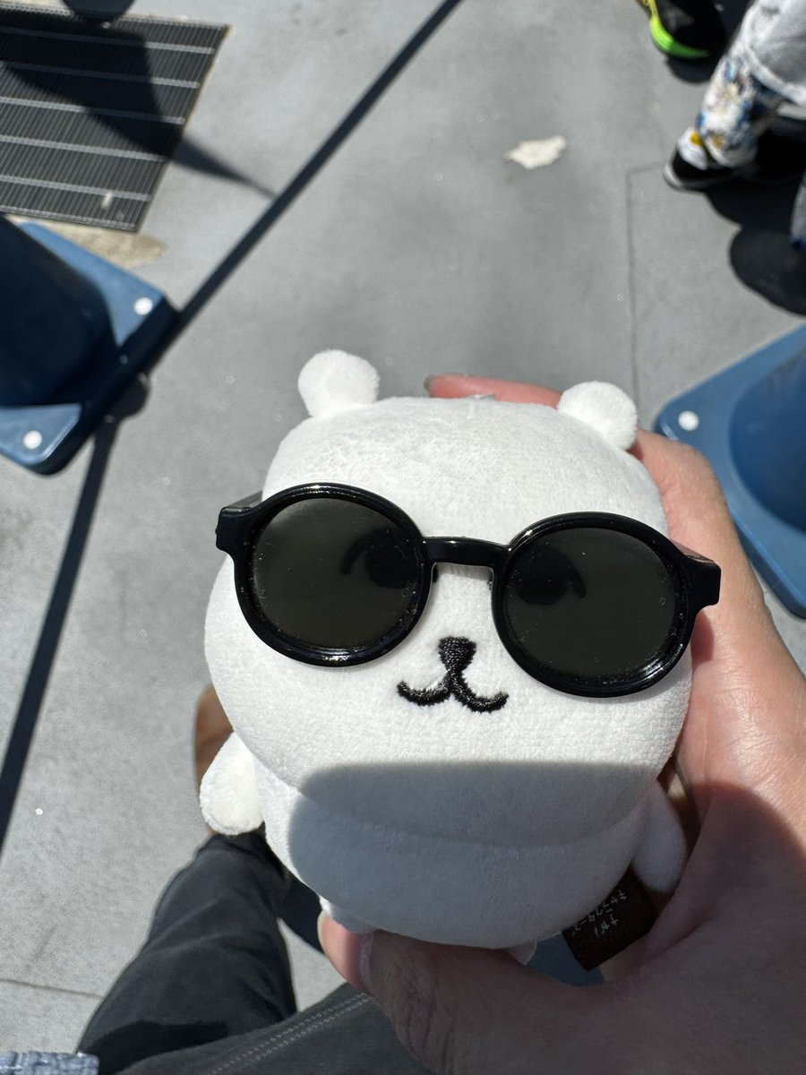 Jerry47Bean's tweet photo. 🐻‍❄️くま旅ハイライト✈️

日差しが強いですよ😎 https://t.co/mfEx7oWzUB