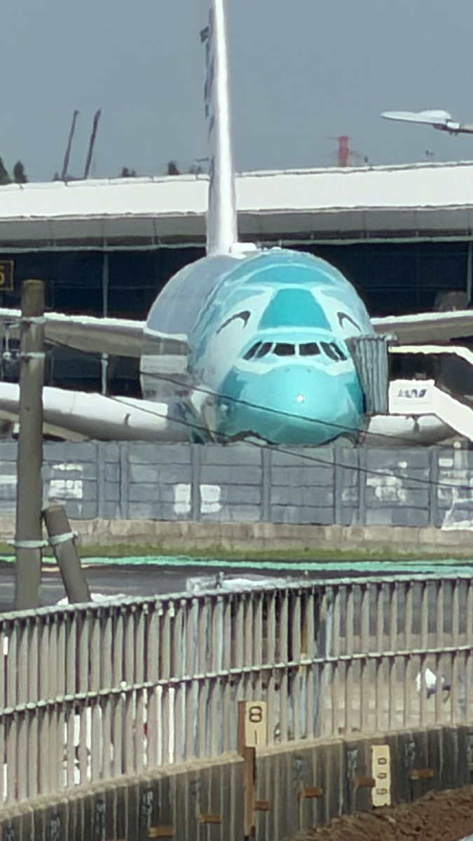 ※注意！！ 木漏れ日さん専用 Honu カイ君 すげぇ‼︎ ANAのホノルル専用機材の世界一大きい旅客機✈️である