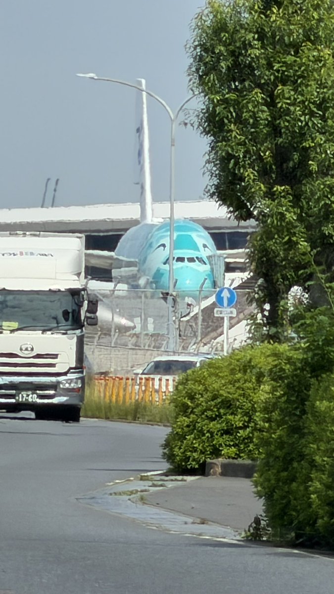すげぇ‼︎ ANAのホノルル専用機材の世界一大きい旅客機✈️である