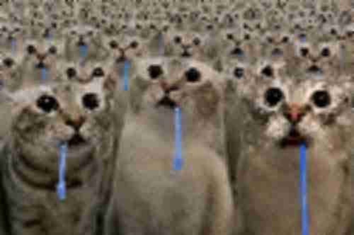 Boummpy's tweet photo. What i see when i talk to my friends https://t.co/lRFLYKBZR3