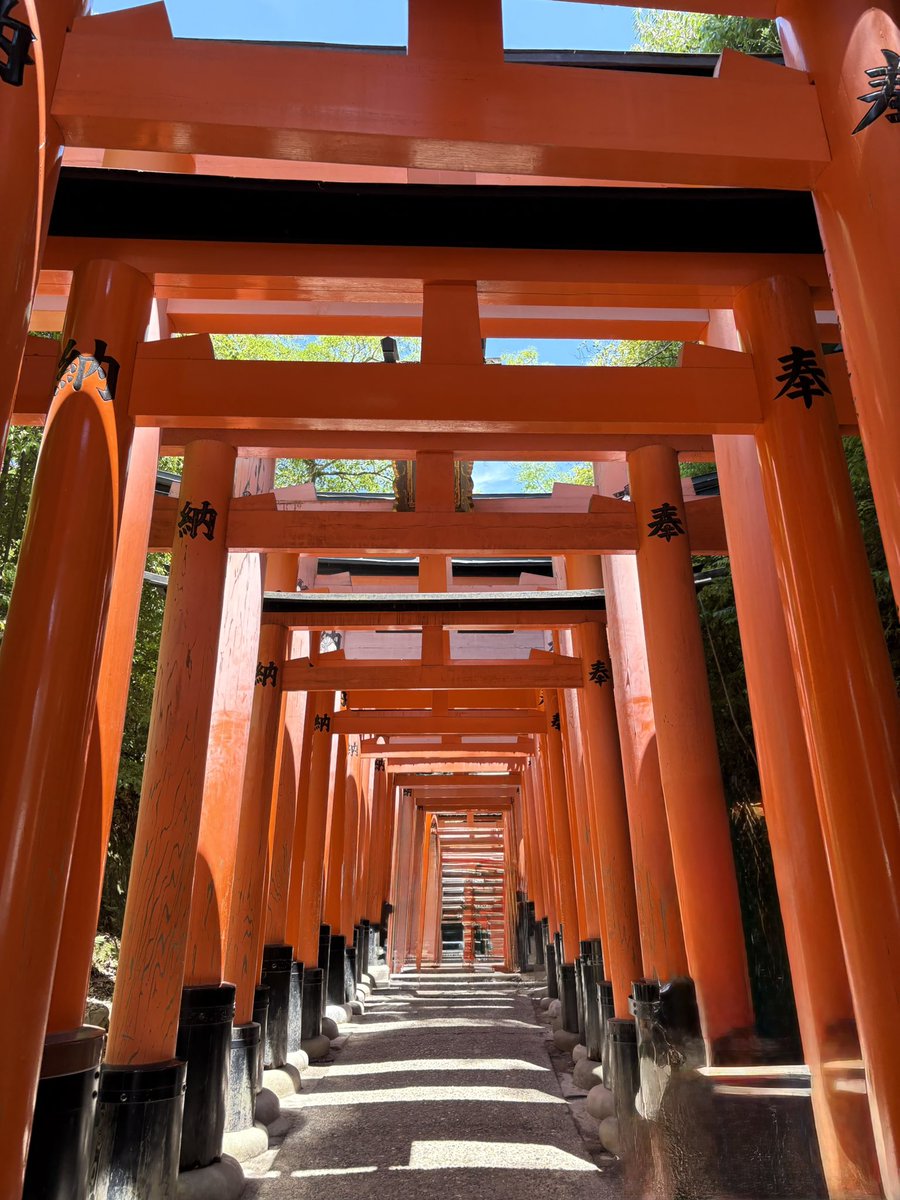 hito0403's tweet photo. 京都〜大原三千院♪
修学旅行でバスガイドさんが歌ってたな〜
伏見稲荷はほぼ海外の方、想定内
今更、初めて行く場所💨
 #伏見稲荷
 #三千院 https://t.co/EIGQPXaZJp