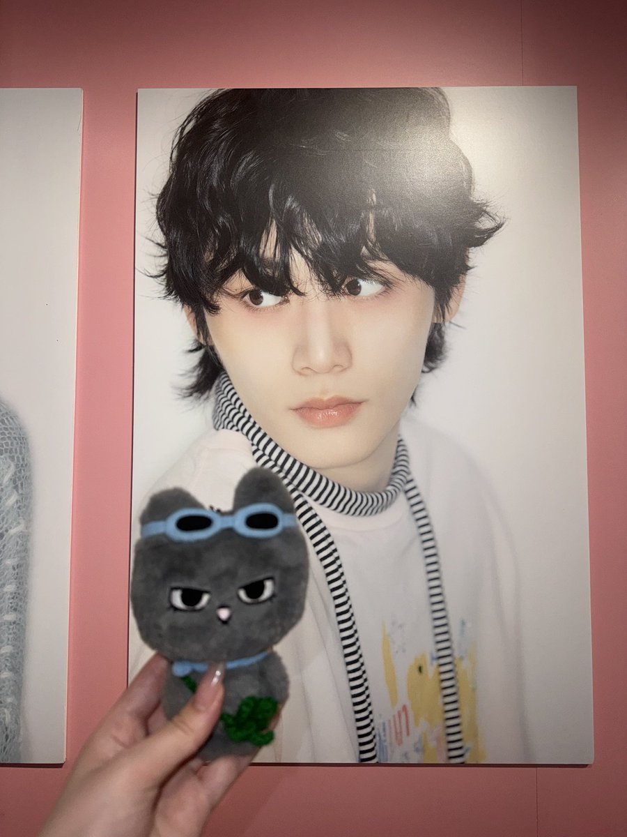_tsnyan_'s tweet photo. VIRAL POPUP✩.*˚
ぜーんぶ可愛くてしあわせ空間♪ https://t.co/kVNUEwCgpQ