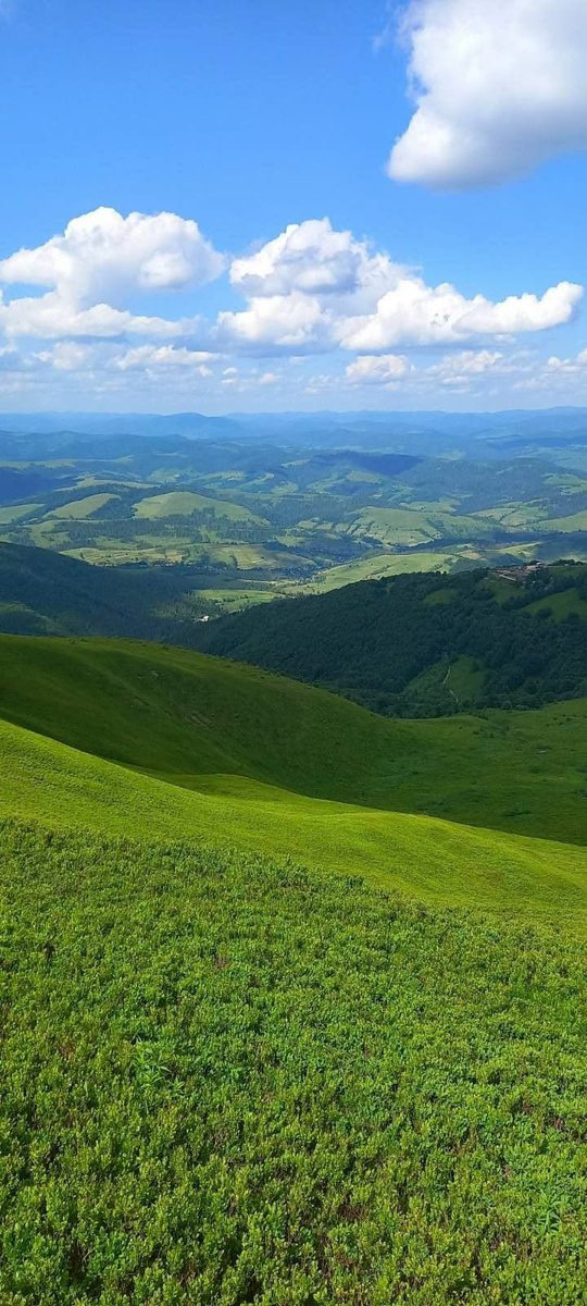Green Heaven ☘️⛰️ tweet media