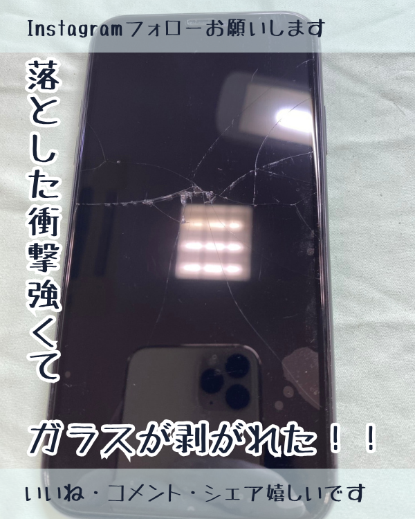 ringokagoshima's tweet photo. 落とした衝撃が強すぎるとガラス割れと液晶不良の同時発生します！

https://t.co/nttZgGKO57

#iPhone修理
#スマップル鹿児島店
#スマホ修理

890-0053
鹿児島県鹿児島市中央町22-16アエールプラザ2階
スマップル鹿児島店
099-230-0404

https://t.co/5jcYMqbDN8 https://t.co/DnhHUh0uCY