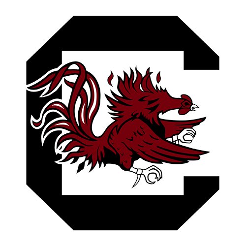 Carter_R_Nash's tweet photo. Blessed to receive an offer from @GamecockFB🤙🏾🤙🏾🤙🏾@StanDrayton_ @ZachPropp @coachmorrisDHS @CoachQueen82 @coachfarmer71 @dormanstrength @charonepeake_ @andrewstorch40 @Hawkinsjs @ScoutFball @UANextFootball @RecruitRivals @PrepRedzoneSC @SCSportsNow https://t.co/54ddG3aohp