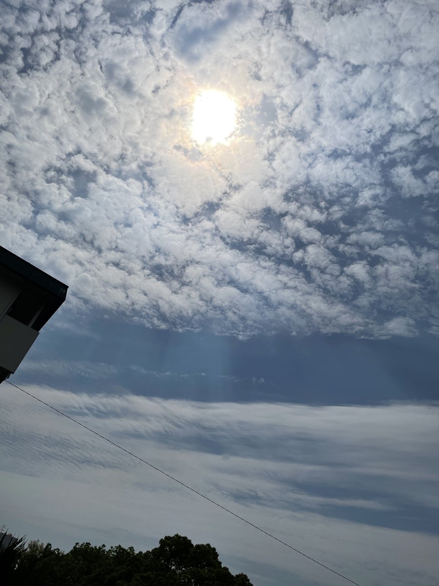 cds_corheart's tweet photo. おはようございます☺️
 #福岡市 は晴れ      
6月11日は「傘の日」だそうです☂  
暦の上では今日から梅雨。
今週は晴れの日が多いようです。

本日もよろしくお願いします    
水分補給お忘れなく    
#企業公式が朝の挨拶を言い合う 
#企業公式が毎朝地元の天気を言い合う 
#イマソラ https://t.co/dtA9IpCVMf