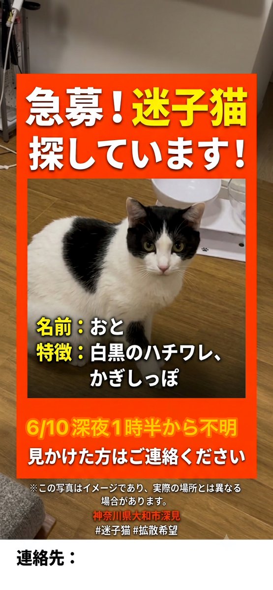Wakaba2355's tweet photo. 6/10深夜から飼い猫を脱走させてしまいました。
人慣れしていて噛まない子です。

首輪なし
小柄
オス
場所:大和市深見
どんな些細なことでも構わないのでご連絡頂けると幸いです。
よろしくお願いします。
#迷い猫 #猫探してます #猫の目撃情報 #子猫 #迷子猫 #拡散希望 #神奈川県 #大和市 #飼い猫 https://t.co/dIVuqkgM2S