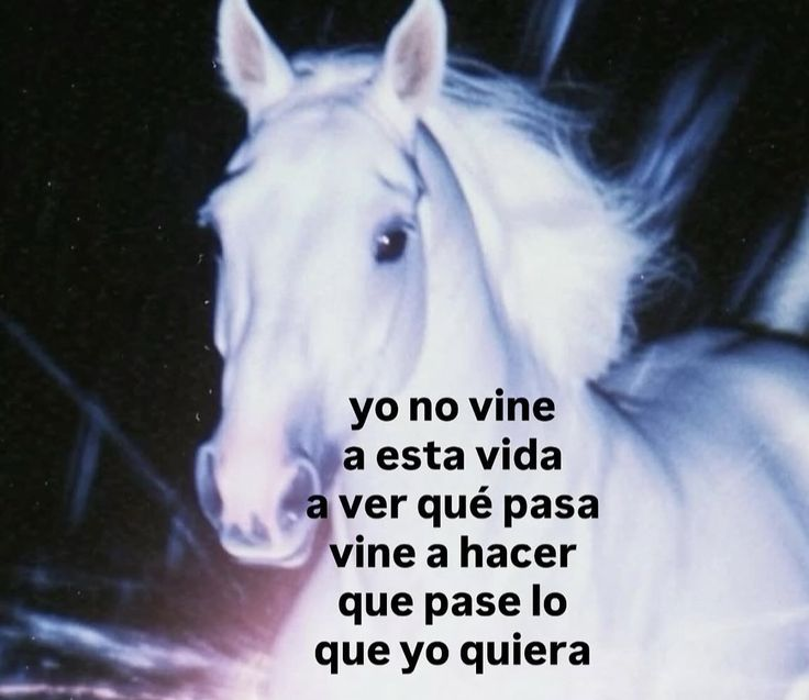 FraseSimple's tweet photo. https://t.co/P43lDhieTw