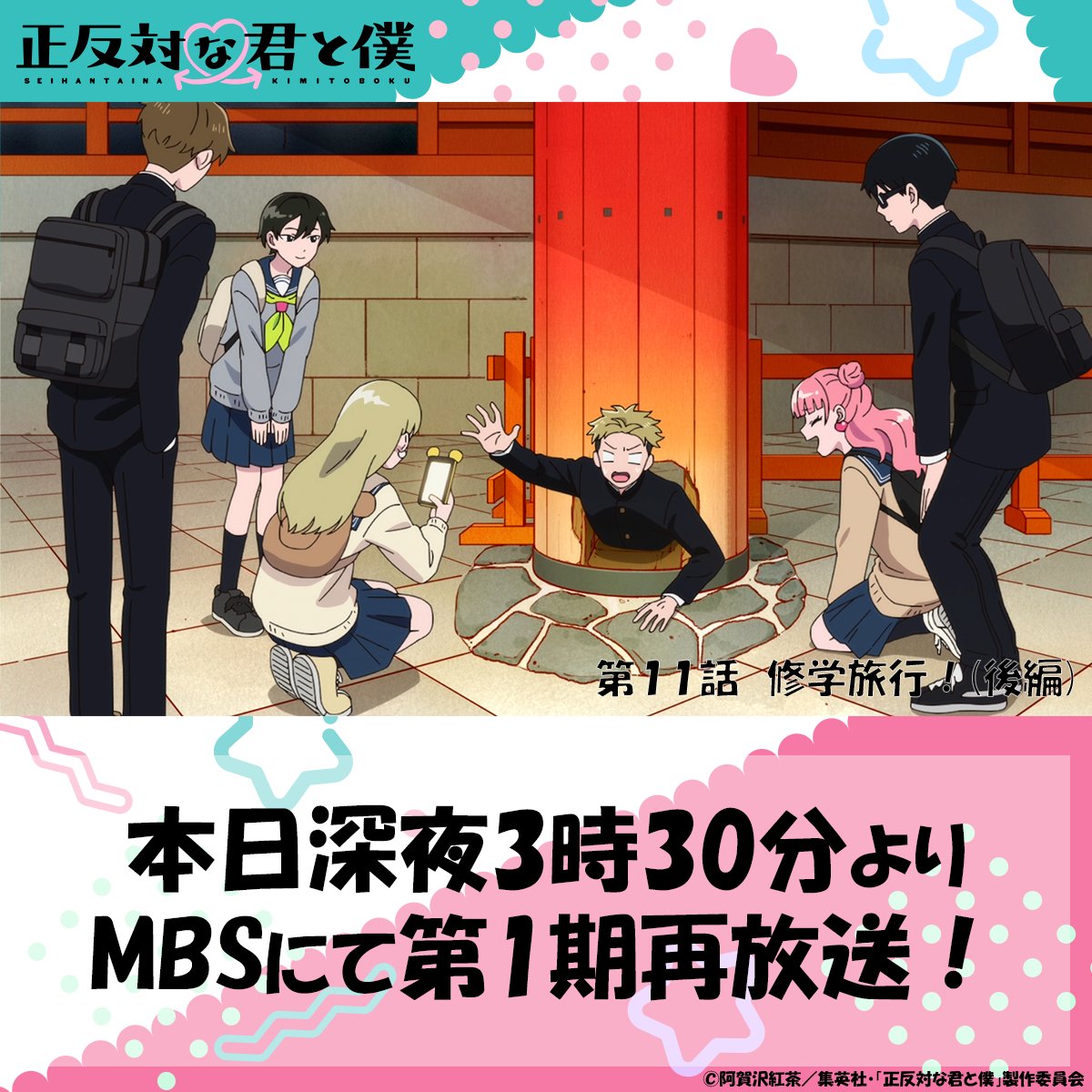 seihantai_x's tweet photo. ／
再放送告知📺🐼
＼

TVアニメ「#正反対な君と僕 」
第11話『修学旅行！(後編)』
本日深夜3時30分よりMBSにて再放送！

お見逃しなく👀 https://t.co/flcl0Hm5GY