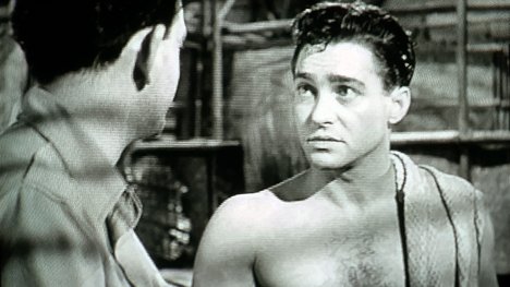 DrBuzz_Forensic's tweet photo. Actor Richard Todd was #BornOnThisDay June 11, 1919 1st choice to play James Bond in Dr. No (1962) but declined. Known for the films, The Hasty Heart (1949), #Hitchcock's Stage Fright (1950),The Virgin Queen (1955) &amp; The Longest Day (1962). Passed #cancer 2009 (age 90) #RIP #hunk https://t.co/mP9UarAgb9
