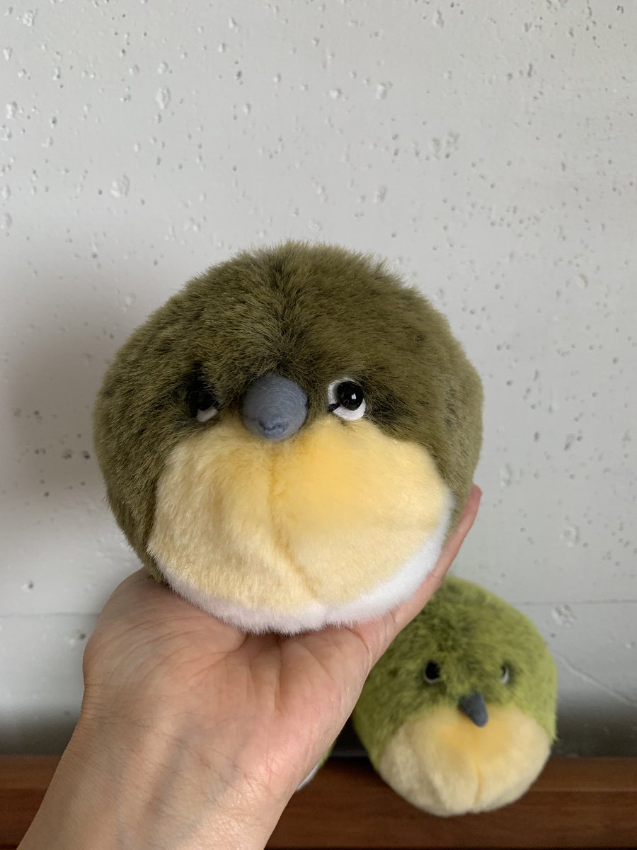 maribono's tweet photo. メジロ丸も完成。
ノジコ丸はまだ改良しないと。 https://t.co/7KtupKVxiB