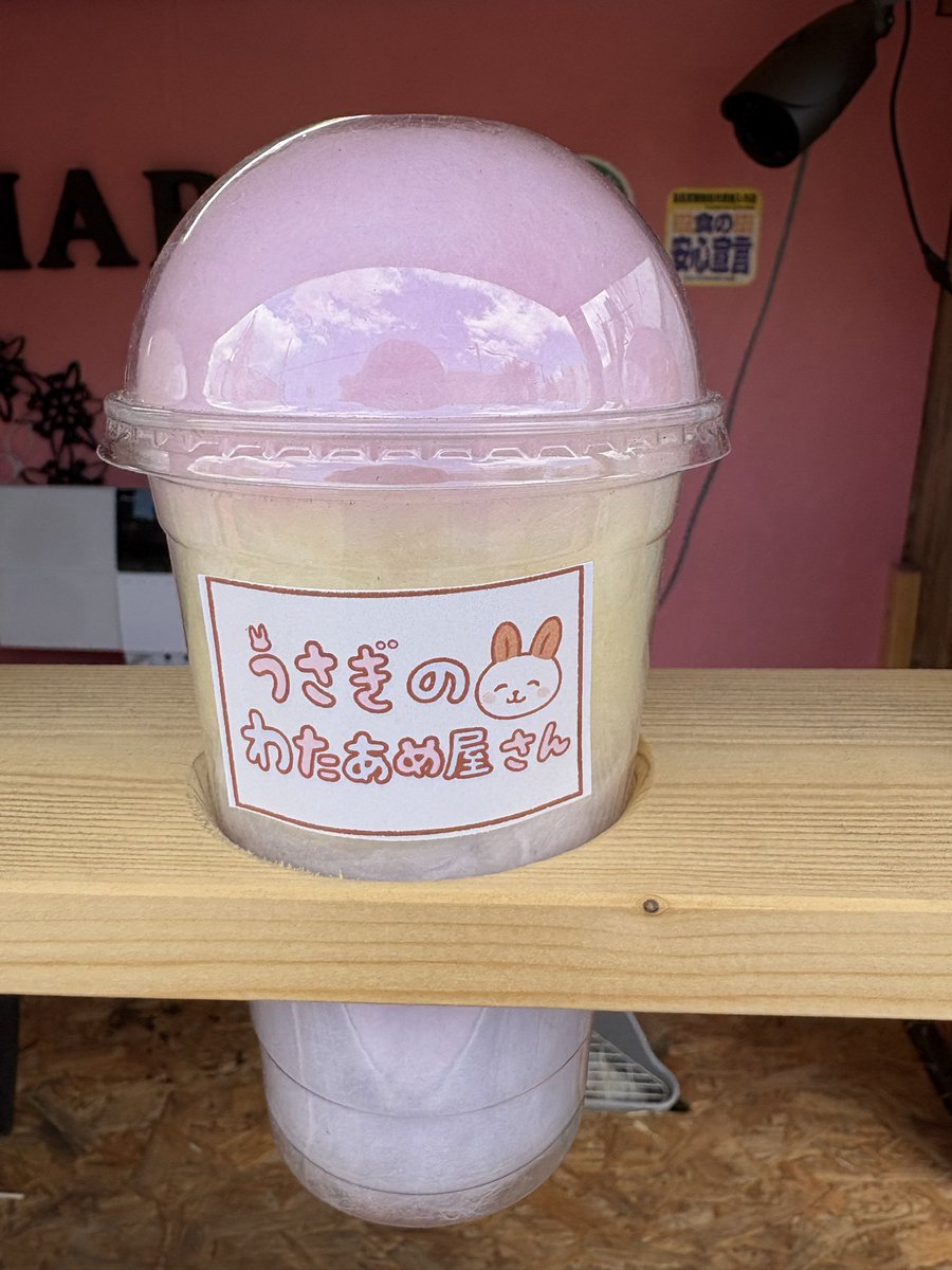 maronn_926's tweet photo. 今日もマロン店長おやすみです((*_ _)

 #動物
 #PayPay
 #北��道札幌市清田区 https://t.co/Huxf8xRXOC