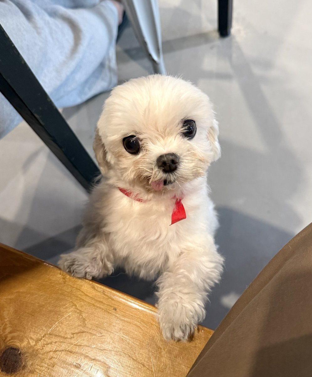 salgururu_'s tweet photo. 녜?? 머라구 하셧사야??? https://t.co/MqowbcdlyN