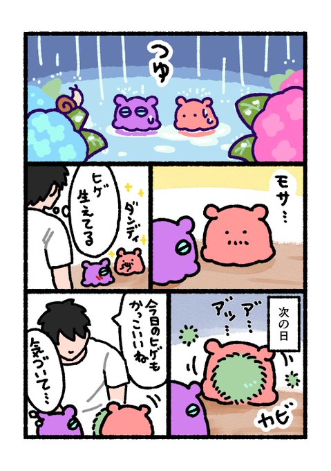 まいにちめんだこ(@daily_mendako) さんのマンガ一覧 | ツイコミ(仮)