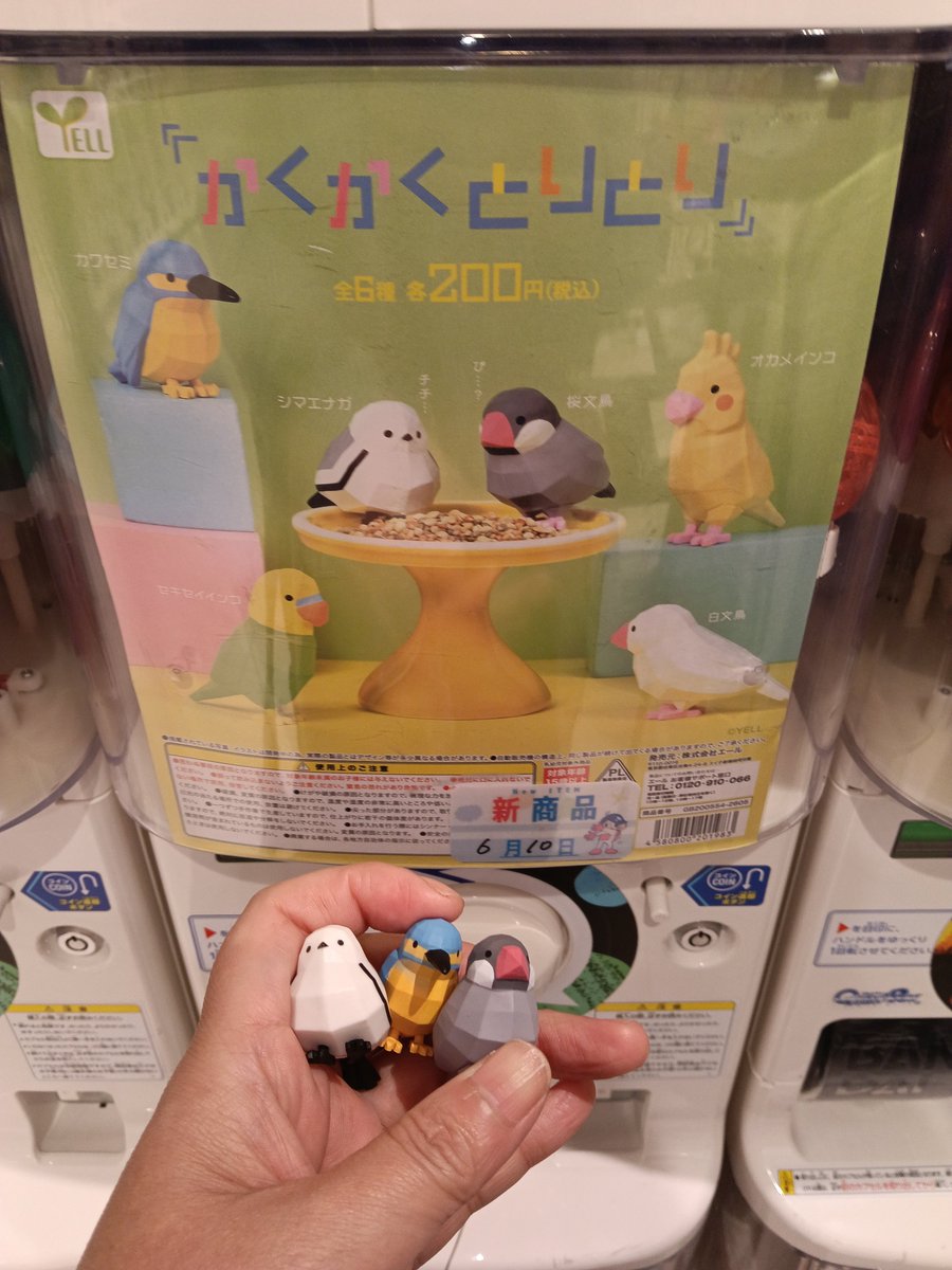 XiyduC's tweet photo. #ガチャポン

フロッキーズ モンチッチ

かくかくとりとり、ポリゴンみたいな鳥の置物で、200円とおサイフに優しいお値段🐦️🐦‍⬛💚 https://t.co/2Bs81bmiId
