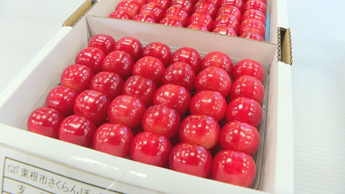 livedoornews's tweet photo. 【🍒】「東根さくらんぼ」過去最高に並ぶ150万円で落札
https://t.co/sbLp6AYcu6

山形県東根市特産の「東根さくらんぼ」が11日朝、東京の豊洲市場で競りにかけられ、1キロ150万円で競り落とされた。このさくらんぼは品評会で、パック詰め部門の最優秀賞「一席」に輝いていた。 https://t.co/TUzgs4rJoP