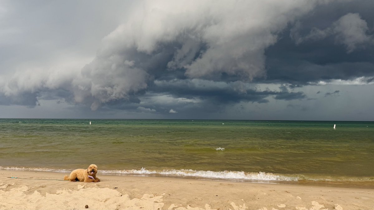 StevenDuchon's tweet photo. @Ginger_Zee Wednesday evening at Grand Haven City Beach. The incoming storm doesn’t seem to be bothering Bowie!🐶☺️ https://t.co/QH013cJsX0