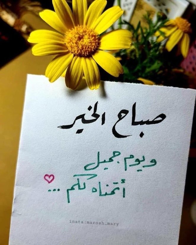 hamfa594's tweet photo. https://t.co/bTcrqt7i5o