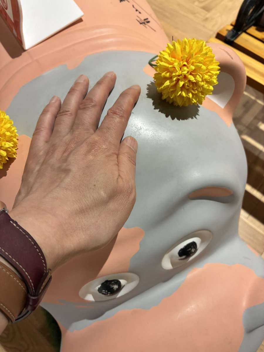 sakenomasuo's tweet photo. カバヒコの頭撫でてきた𐤔
座るは禁止だったよ😅
青山美智子様サインも👍✨
#リカバリーカバヒコ
#高輪ゲートウェイ https://t.co/CxTDBmAvw7
