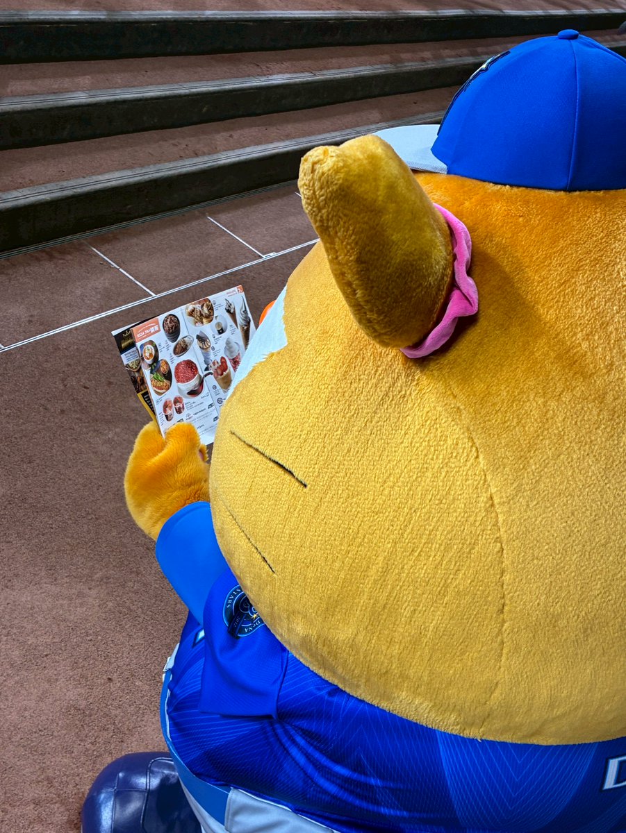ydb_yokohama's tweet photo. 何を食べようかな〜な #スターマン 🤣
エスコングルメに釘付けです🍙

#baystars https://t.co/JE8jRJkPI9