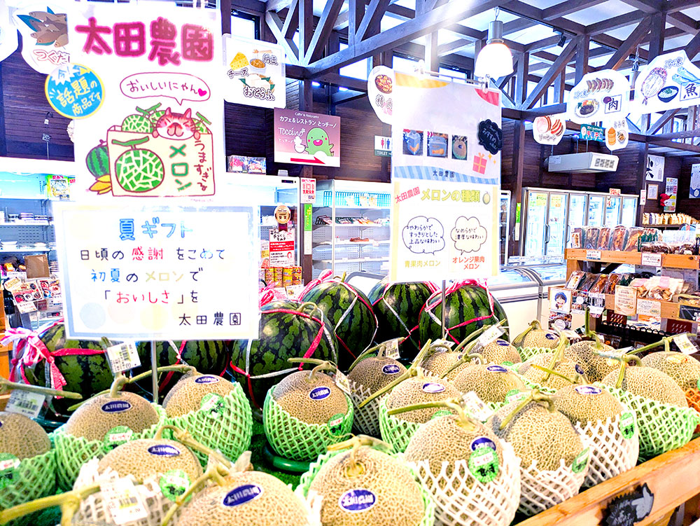minori_togane's tweet photo. [入荷情報]6月11日　#夏ギフト にピッタリ🤗
地元産のメロン🍈
スイカ🍉
#東金プラム🍑
が始まりましたよ～✨

ブルーベリーもどんどこ🏔
#東金いちご も🍓

産地おすすめの初夏の味わいをぜひお楽しみください😊

#道の駅みのりの郷東金
#東金市 
https://t.co/TFWTB6u8hr @minori_toganeより https://t.co/IRz1id7aUk
