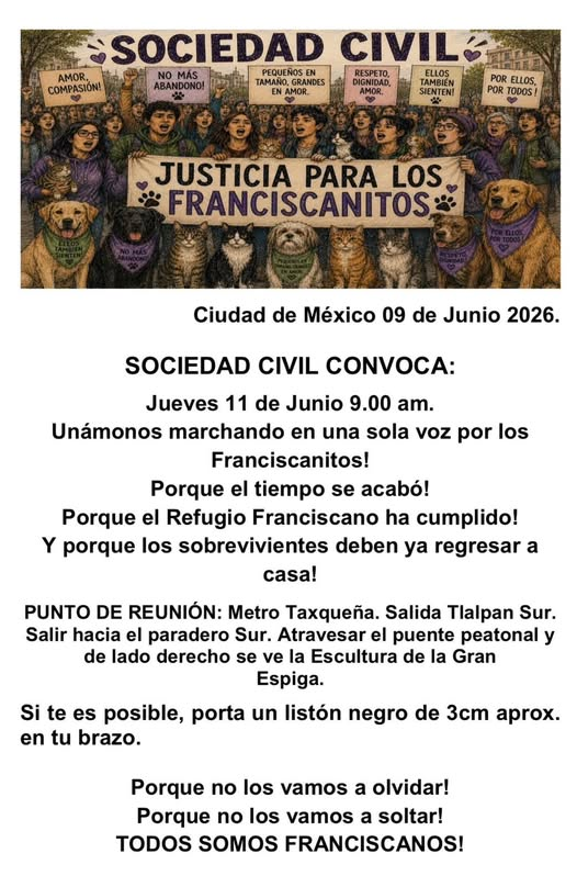 salinito's tweet photo. @ClaraBrugadaM @Claudiashein SE LES ARMARA UN INFIERNO. YA REGRESEN A LOS FRANCISCANITOS https://t.co/ezymBYmlPk
