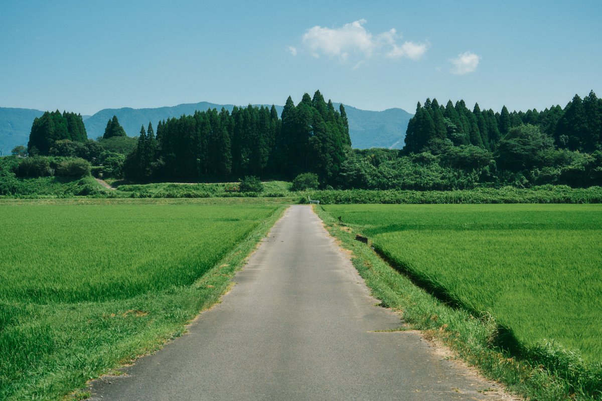 shintake_photo's tweet photo. Countryside scenes in Japan. https://t.co/JT4BcsPKcw