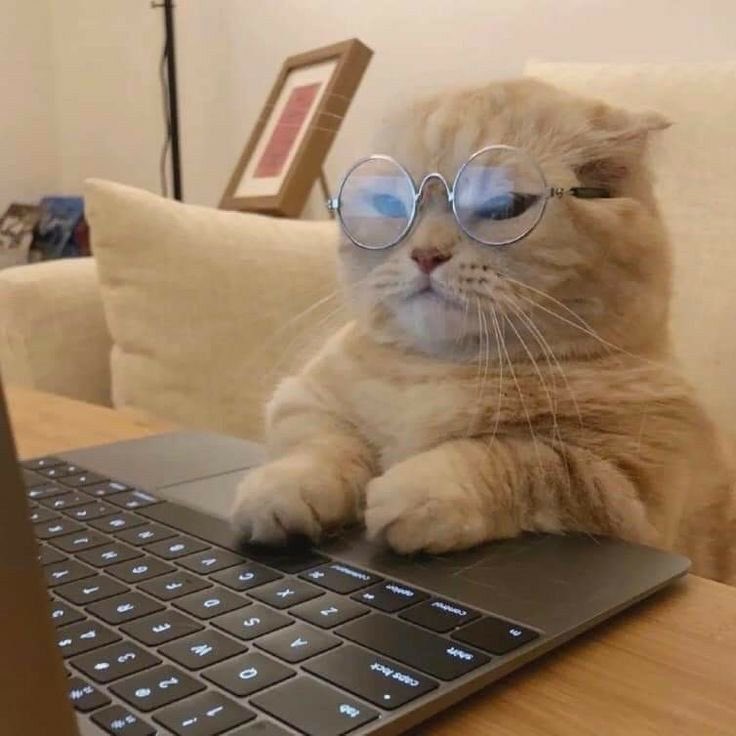 catakiri__'s tweet photo. Yoongi un día random en las oficinas de hybe: 

"A continuación le traigo un powerpoint de 50 diapositivas con información detallada de los 5 mejores estadios de México y 150 motivos por los cuales deberíamos dar un concierto ahí" https://t.co/5RN9RiWkfo