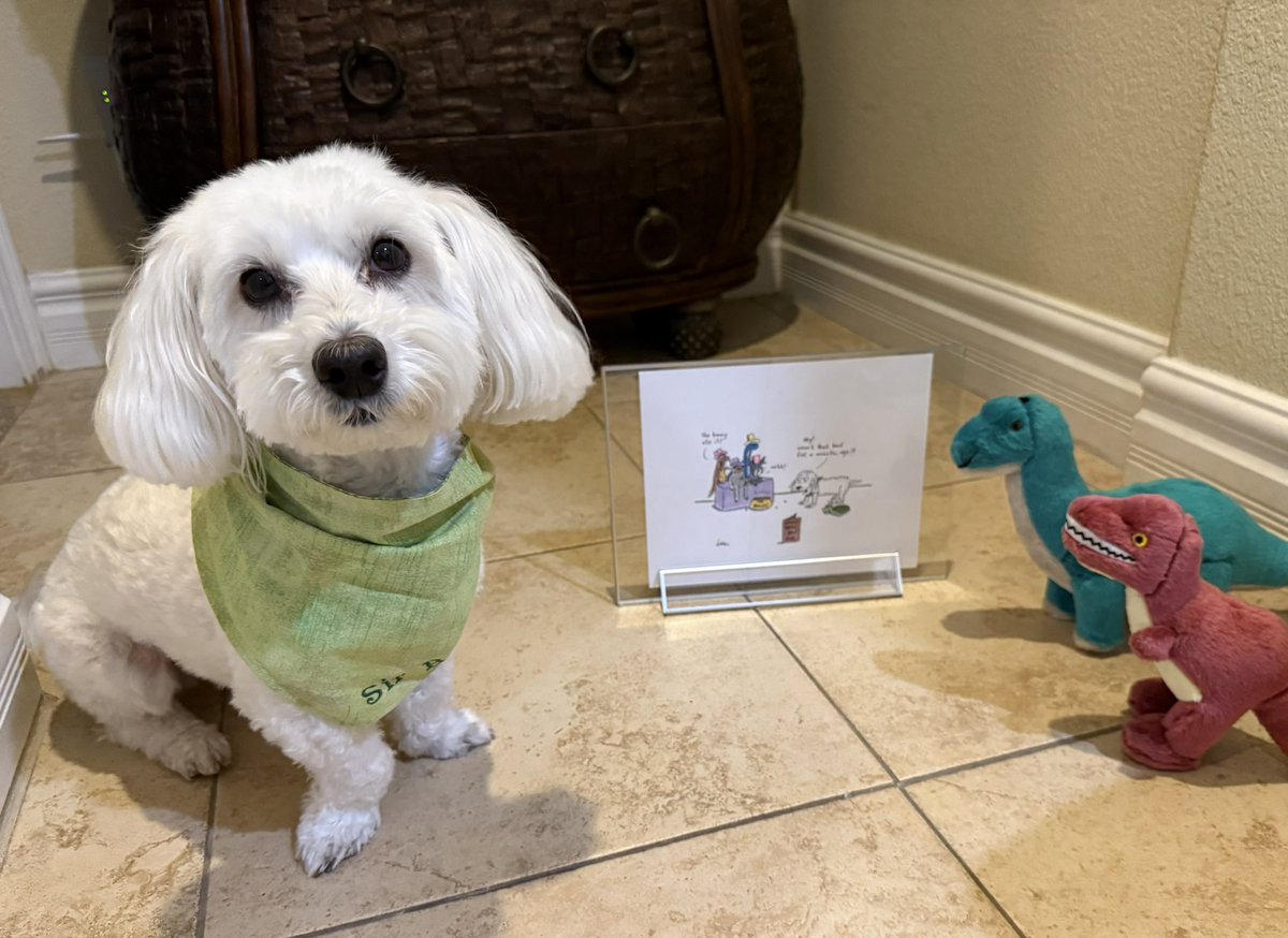 SirBailey2's tweet photo. Yous never guess!!! 😁 Me’s dear frens in Canada 🇨🇦🥰 Beau, Sky & Mom 💚sent me’s an 10th birthday gift!!! Art of me’s real-life 10th birthday party 🎉 Created by Mr. Heim himselves!!! An the’s ’Saurs thems want to protect it’s. Thems prominently featured. An RD hims hast an speaking part 😁🐶🐾 #mommieherspromisedbetterframewhenwesgetoursrealhouse #thankyousdearfrens 💚 @KaiaIsland @JohnHeim @CartersBandanas #dogsoftwitter #dogsofx #adogslife #doggo #pets