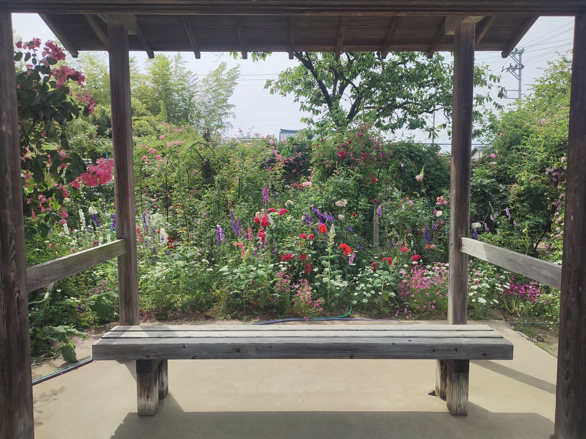sachiel69's tweet photo. 花いっぱいニ宮家よかったー https://t.co/Bg0481KMDj