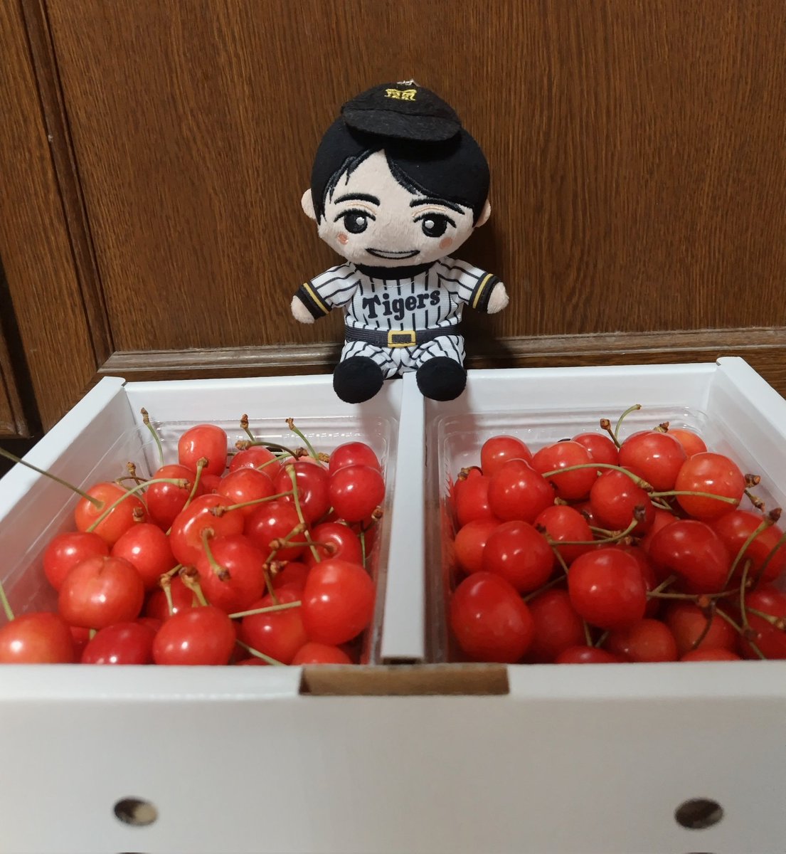 ありがとうございます🍒⚾️