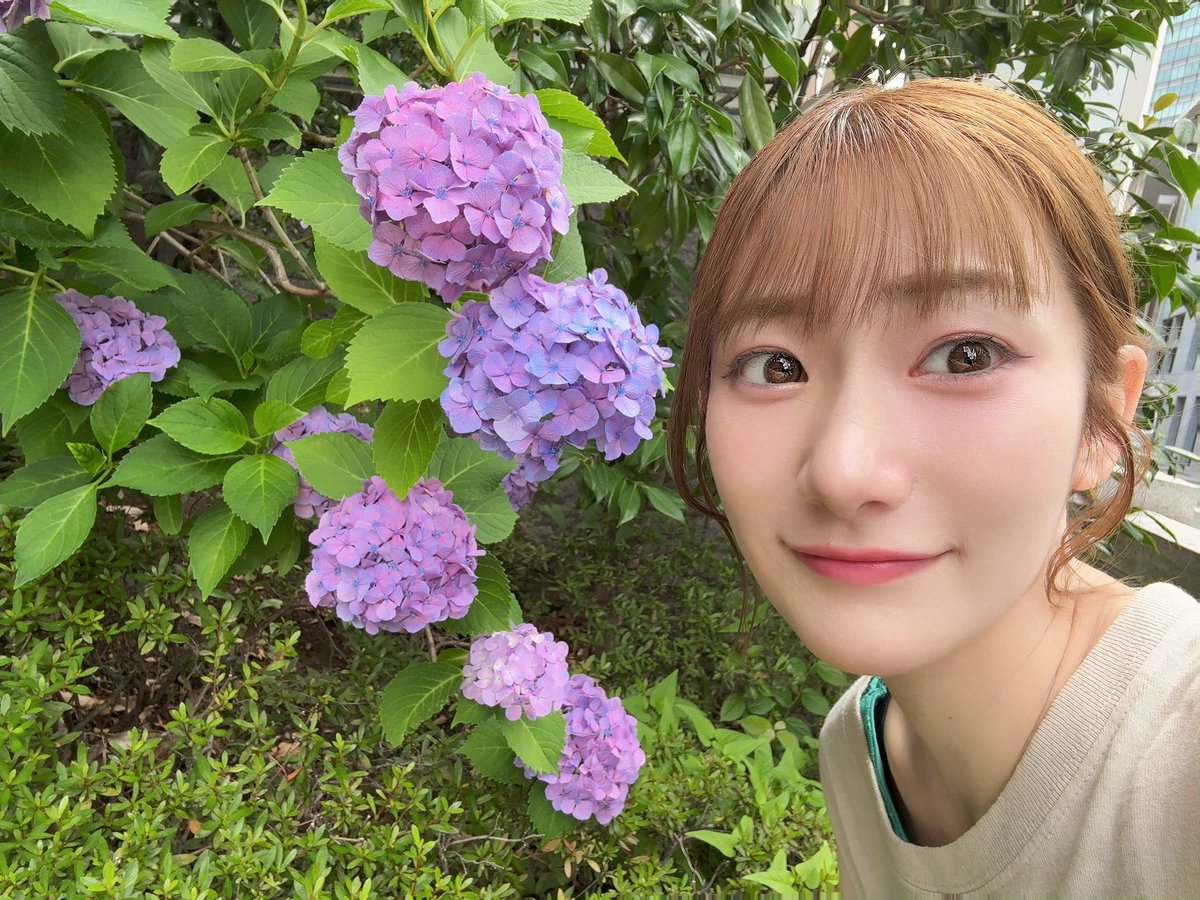 okasakimiho_PR's tweet photo. 綺麗な紫陽花と(みほ) https://t.co/sG4KqFvhbT