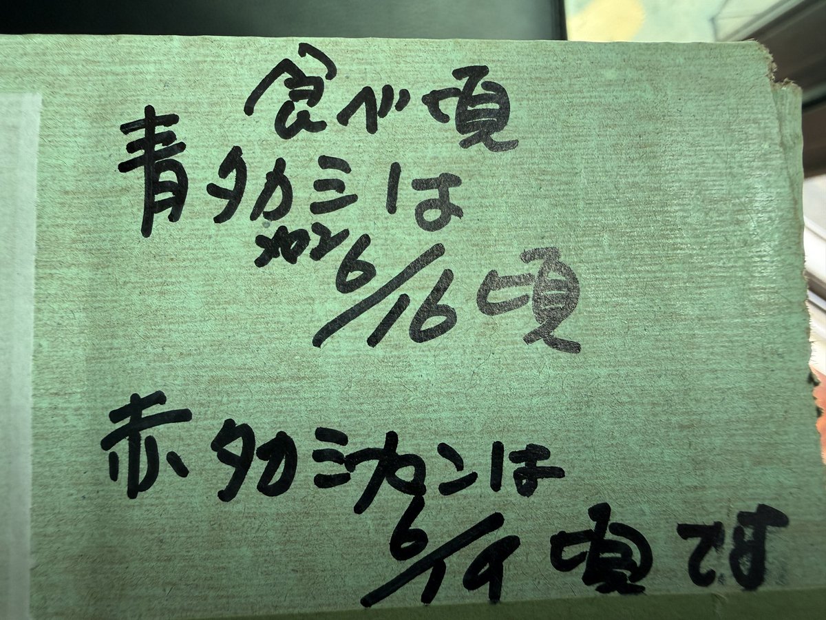 shikaosuga's tweet photo. メロン🍈いただきました
食べごろまで、あとちょっと。。。
楽しみです！ https://t.co/OtHGfk6TWc