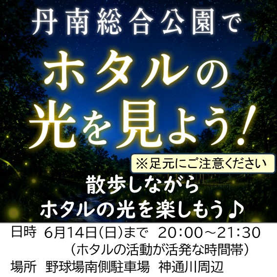 iine_echizen's tweet photo. https://t.co/6k1RCPi0w7