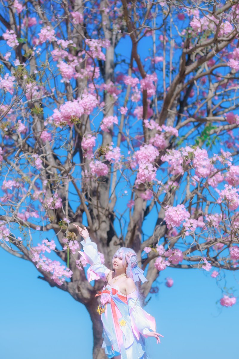 Naoki (@Naokicoss) / Posts / X