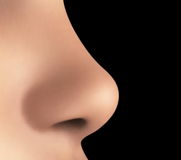 TechnoGeezer2's tweet photo. @Kinza1278 Nose https://t.co/q3iYsgM8d3